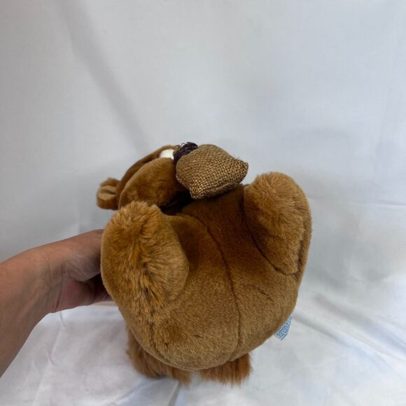 Nutkin Squirrel Stuffed Animal Eden Toys Beatrix Potter Frederick Warner 11” - Picture 4 of 8